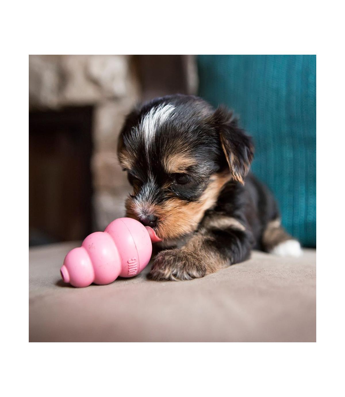 Kong Puppy XS