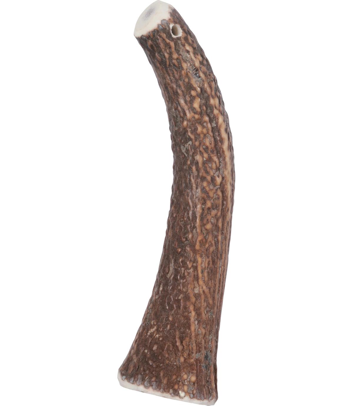 Poroże Jelenia Hard >20kg Zolux