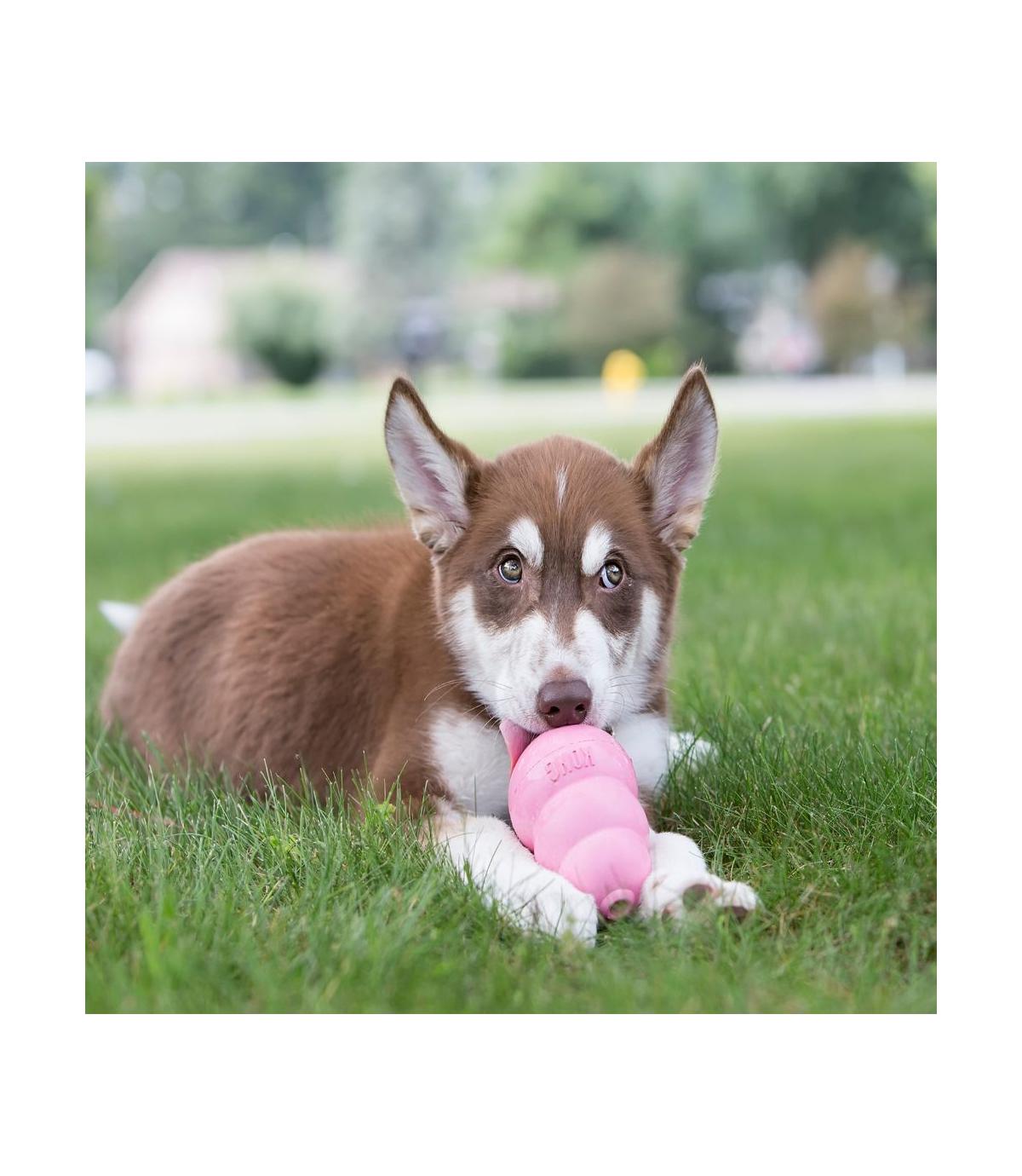 Kong Puppy L