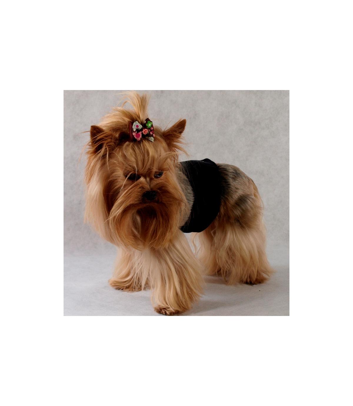 Majtki dla samców Pampas - 2 (XS)