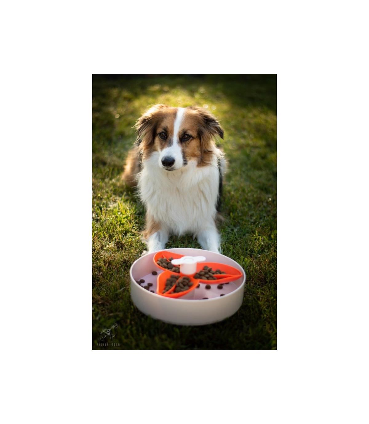 Spin Interaktywna miska Flower