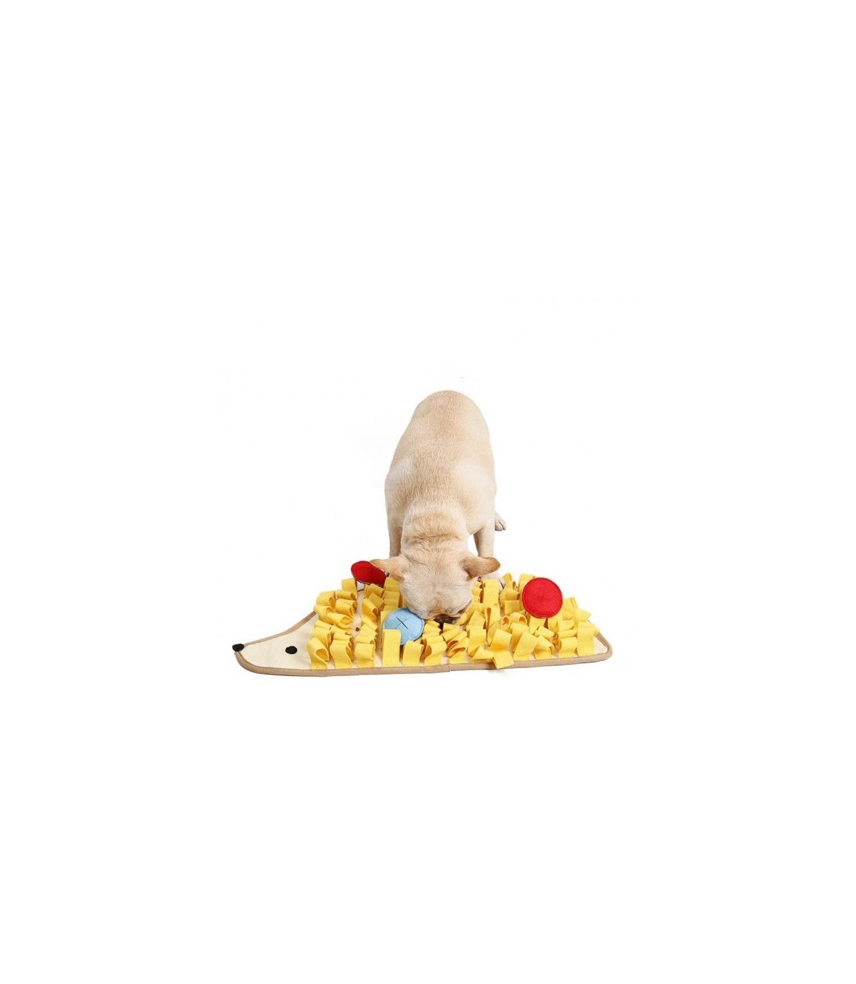 Mata węchowa Jeżyk