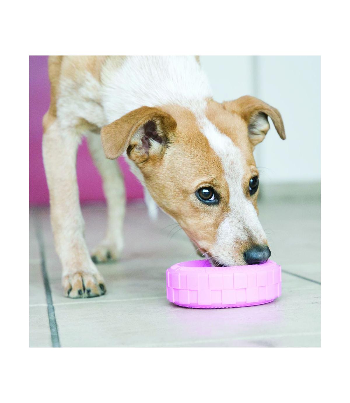 Puppy Tires M/L Kong