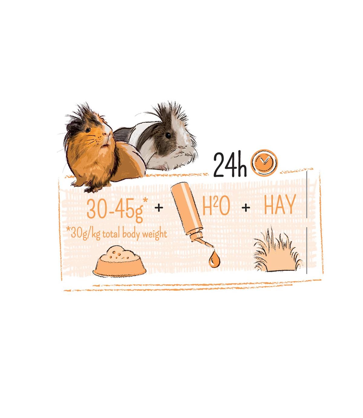 Puur Guinea Pig Sensitive 800g