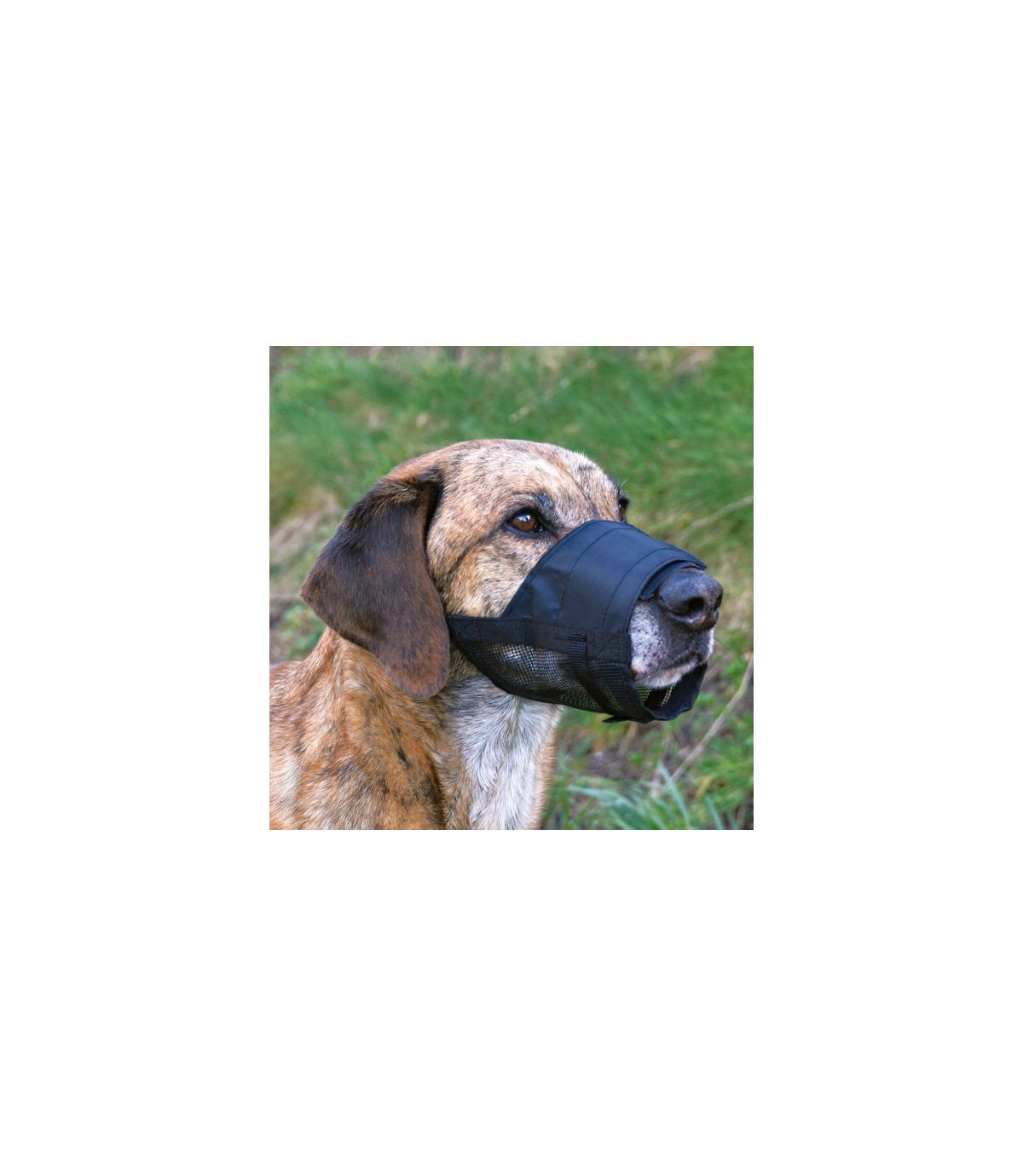 Kaganiec siatkowy - L