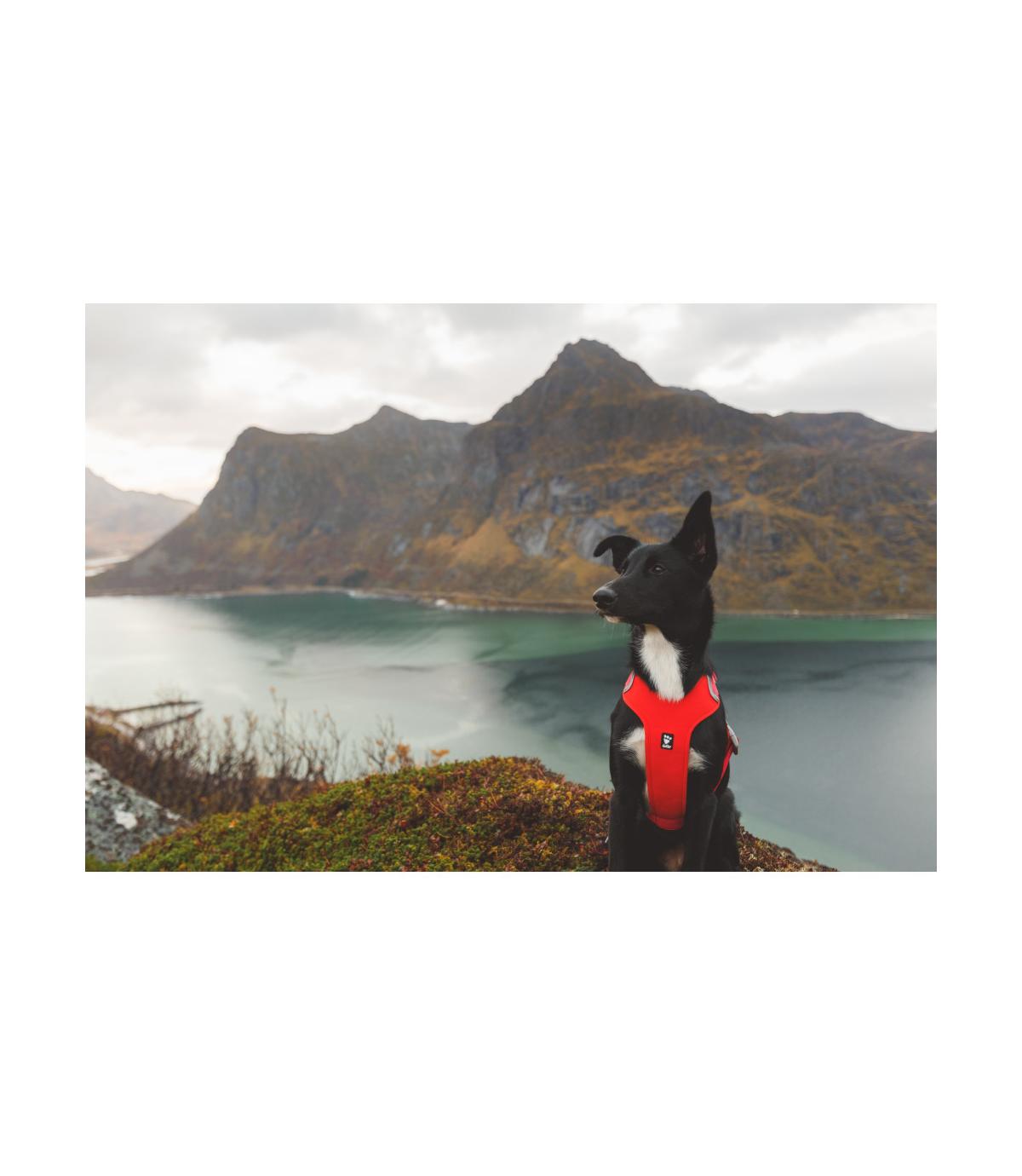 Szelki Hurtta Weekend Warrior Harness Eco 40-45cm