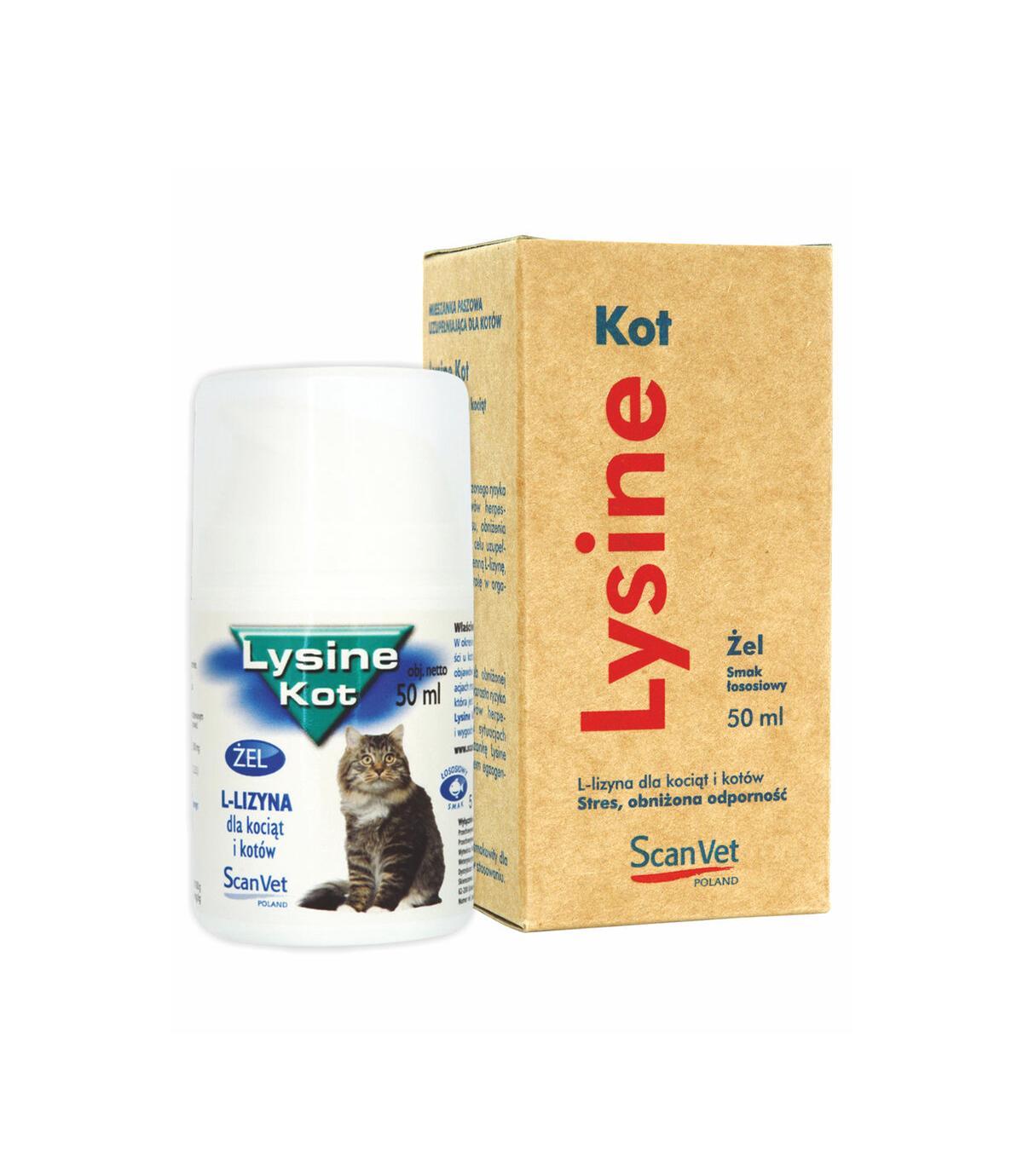 Lysine Kot 50ml