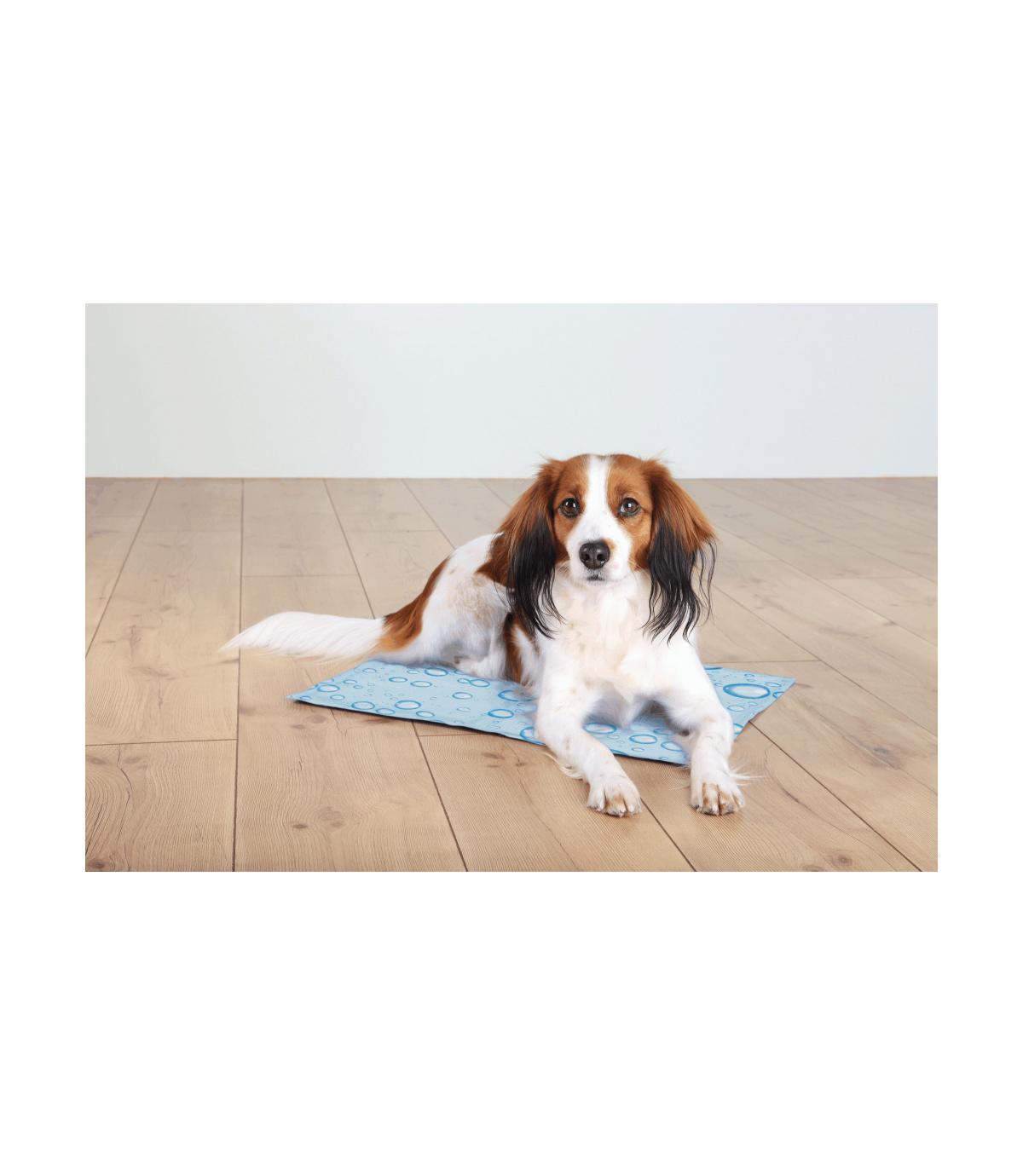 Mata chłodząca jasnoniebieska - 65 × 50 cm