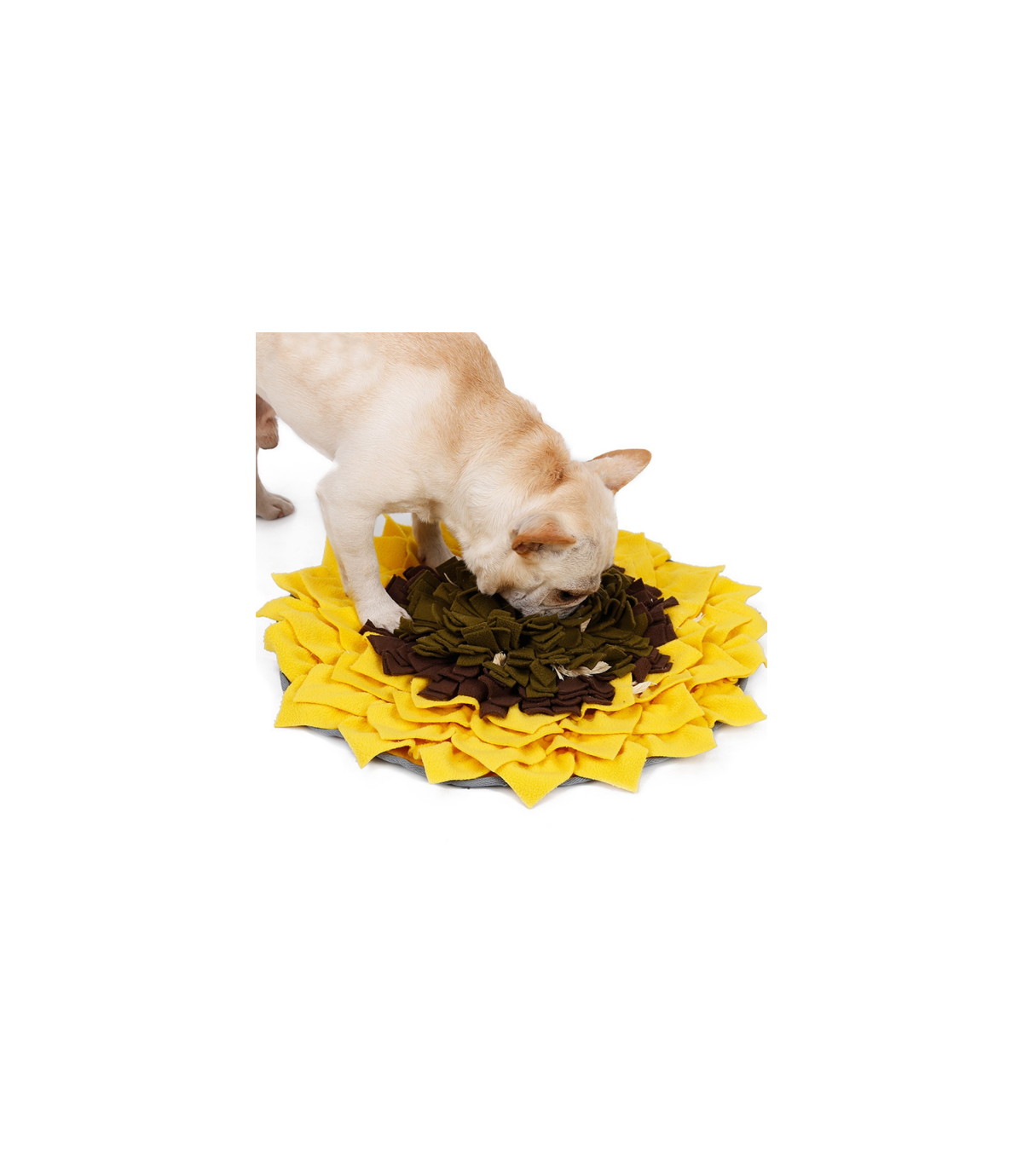 Mata węchowa Sunflower