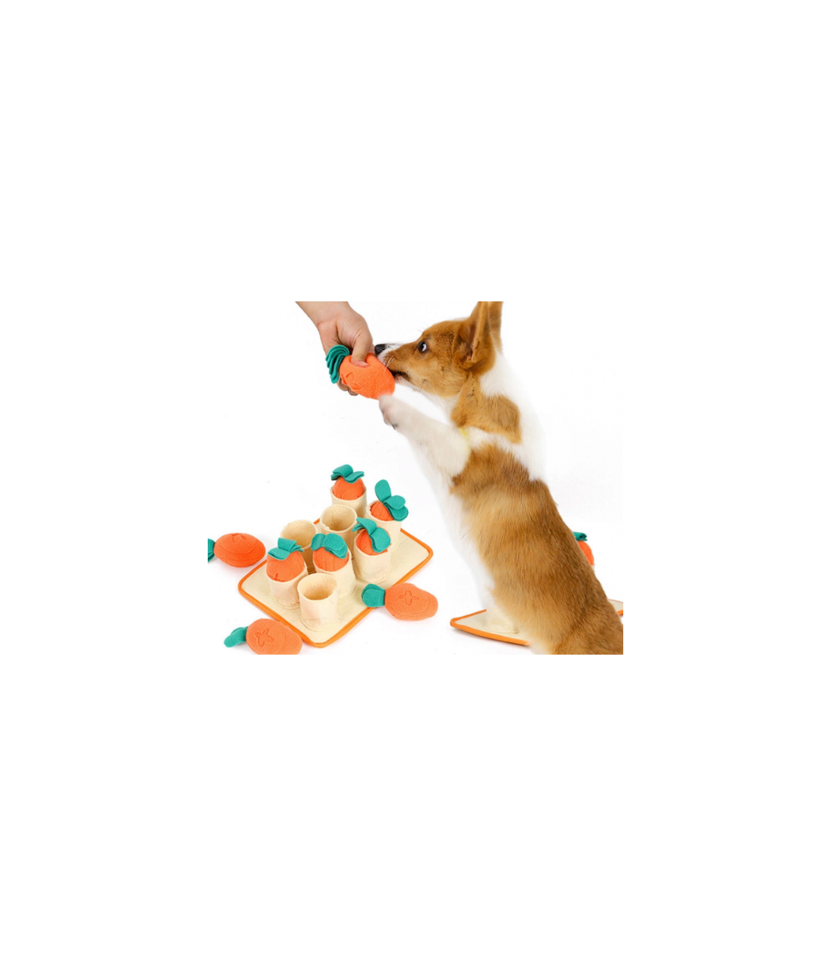 Marchewkowe pole - zabawka węchowa