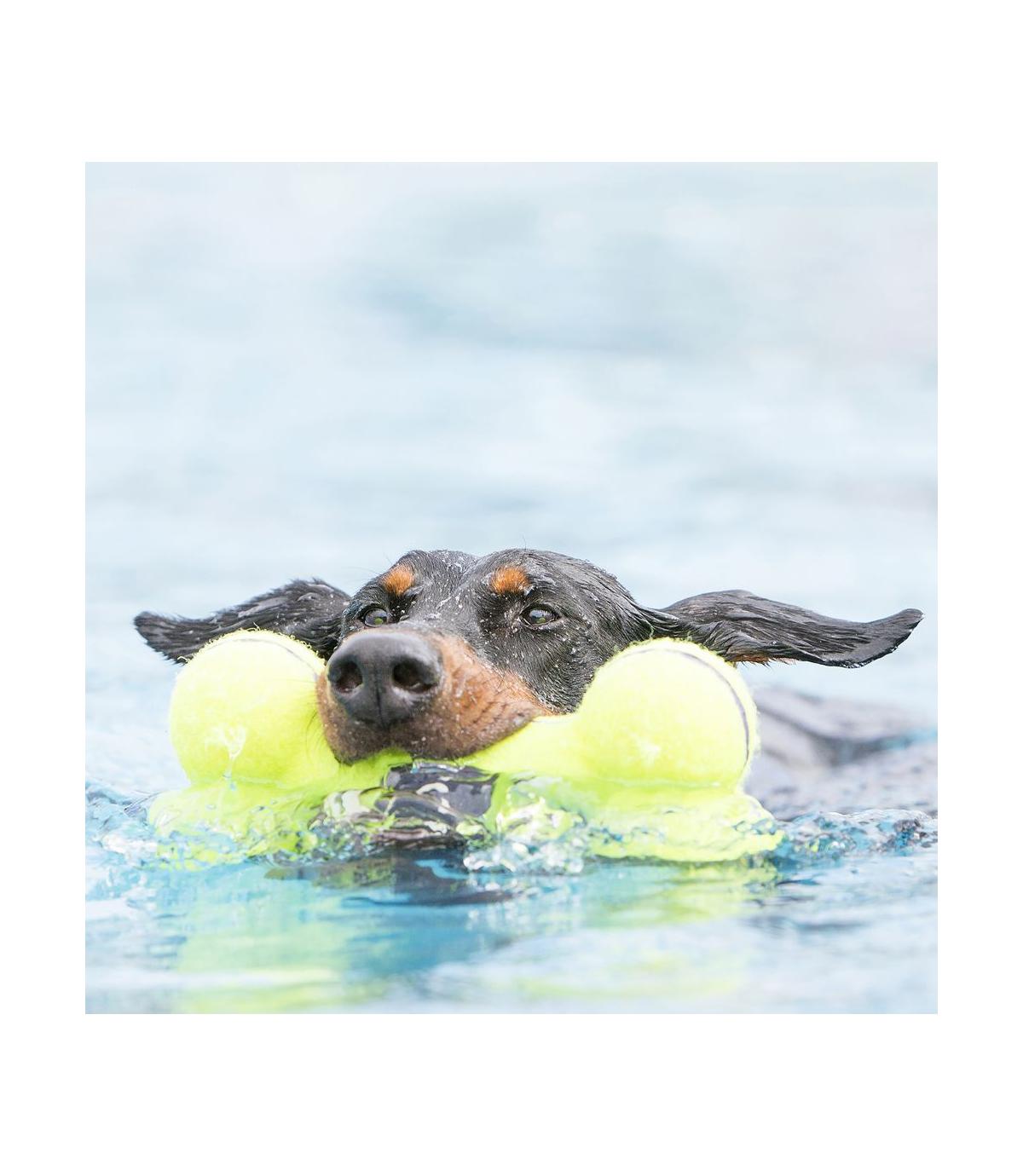 Airdog Squeaker Bone M Kong