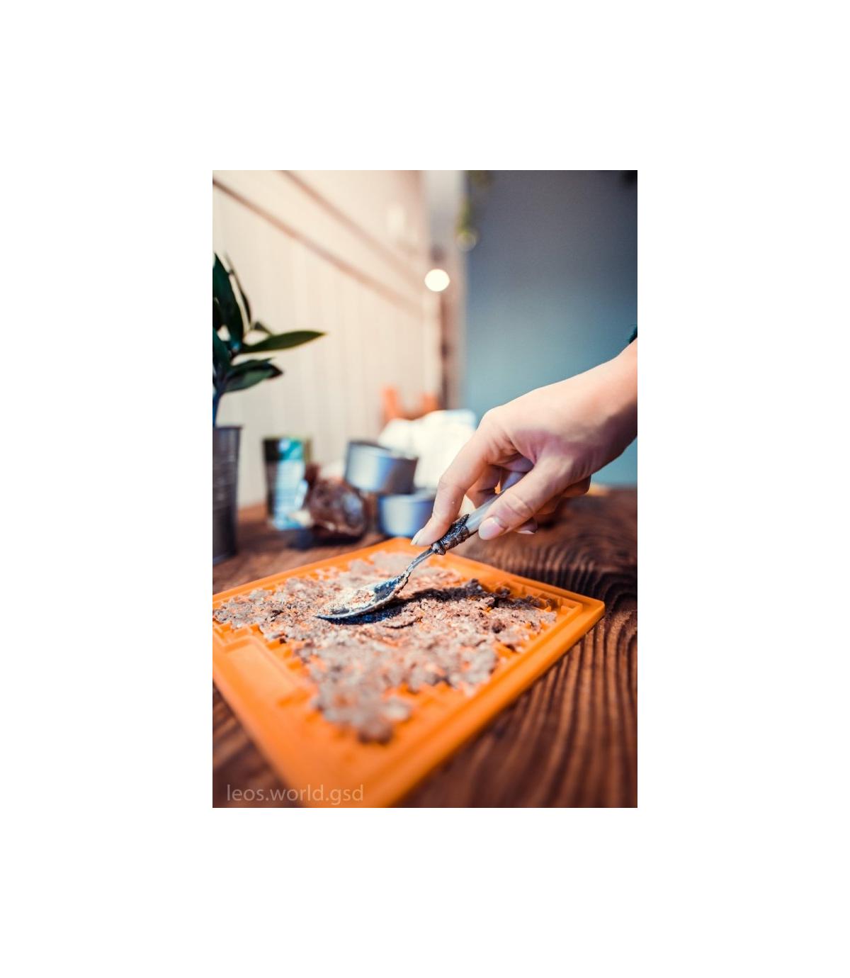 Mata LICKIMAT Classic Buddy