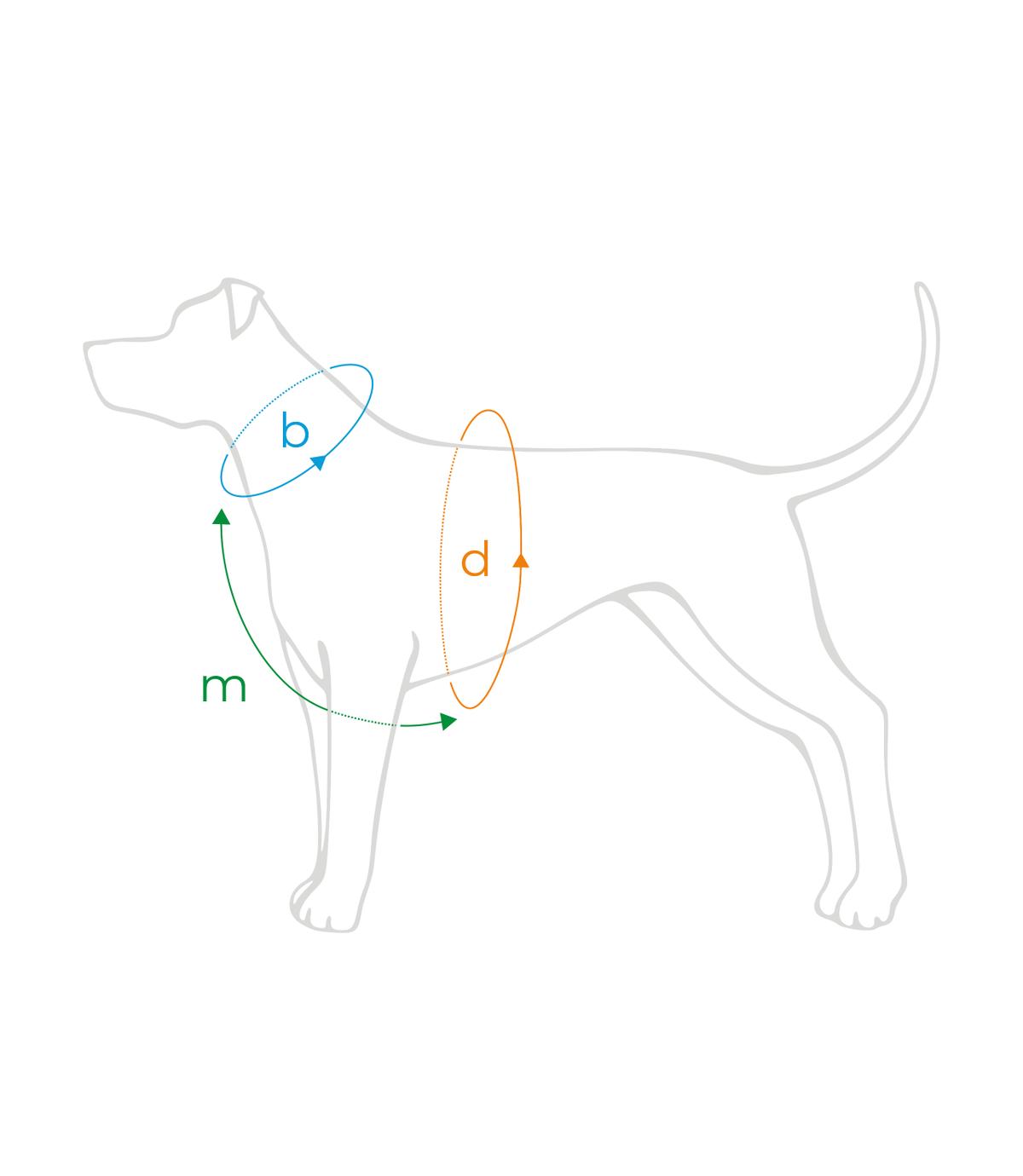 Szelki regulowane Guard Samba XL