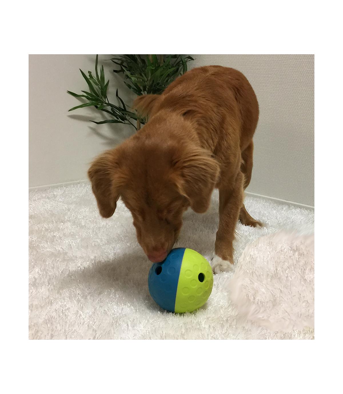 Piłka na przysmaki Treat Tumble S