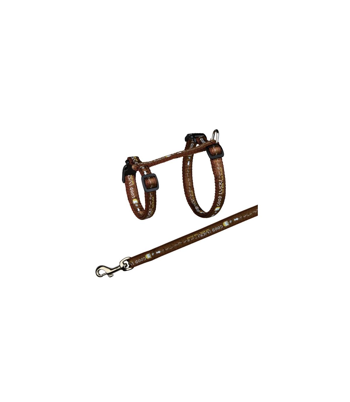 Komplet dla kotów ras dużych - 34–57cm/13mm