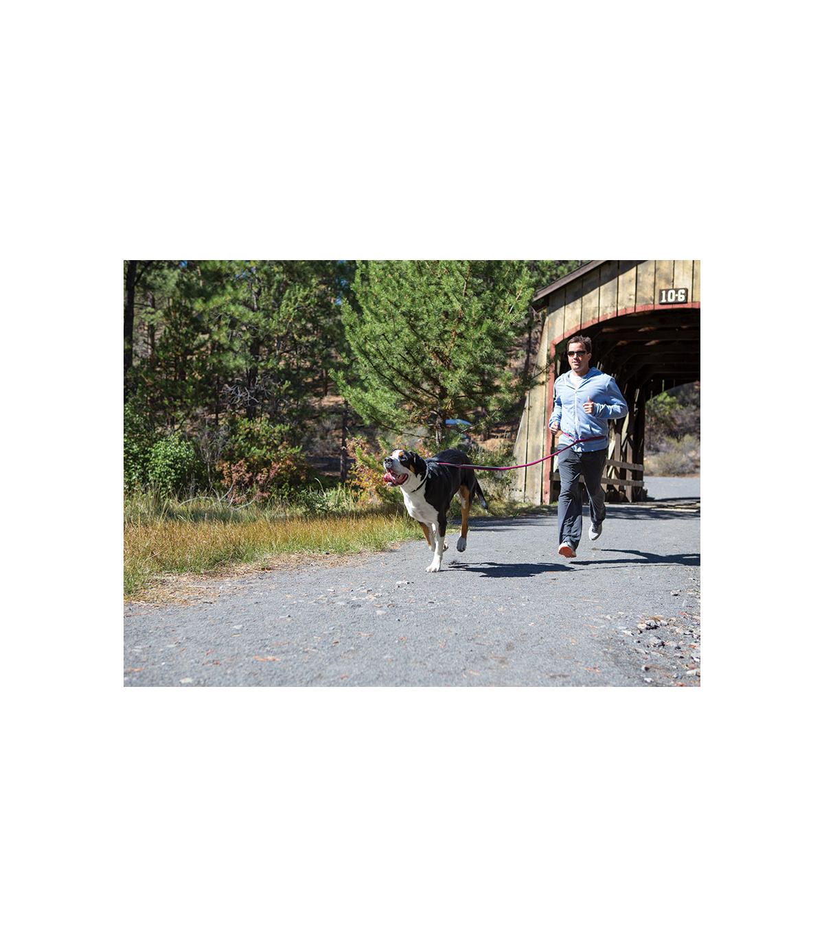 Smycz z amortyzatorem Ruffwear Roamer 2w1 - 2.2m