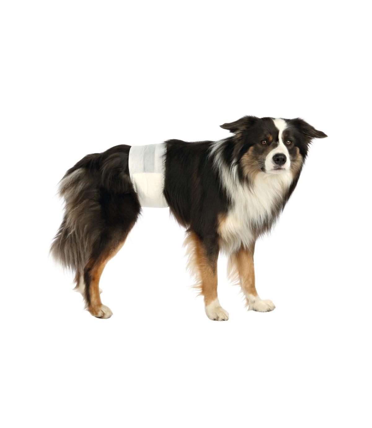 Pieluchy dla samców psów - M–L