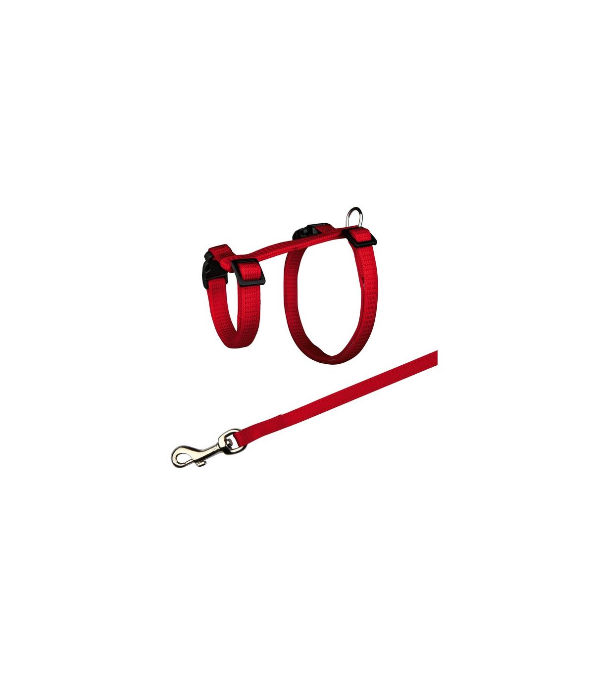 Szelki i smycz dla królików