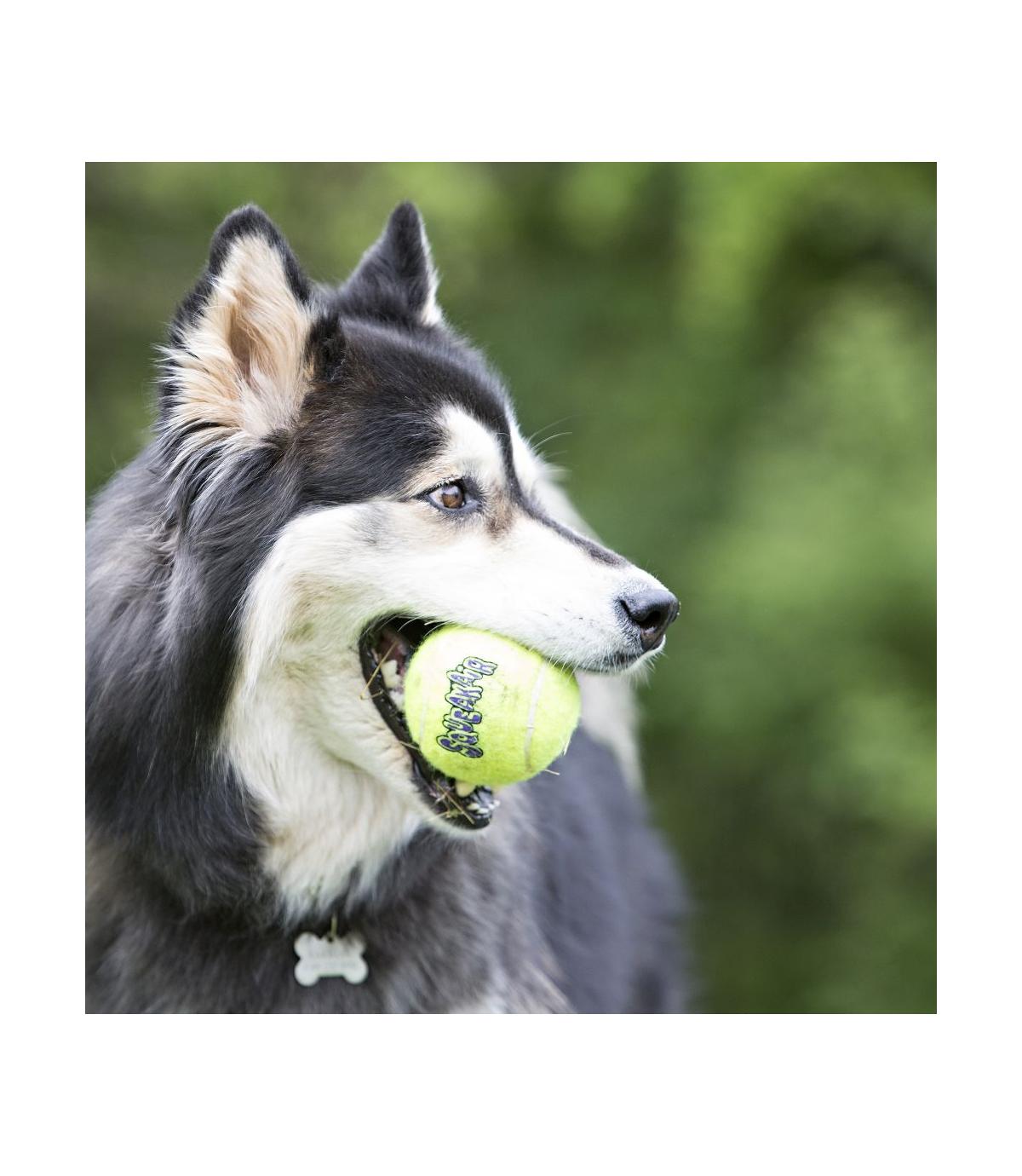 SqueakAir Ball L 2szt. Kong