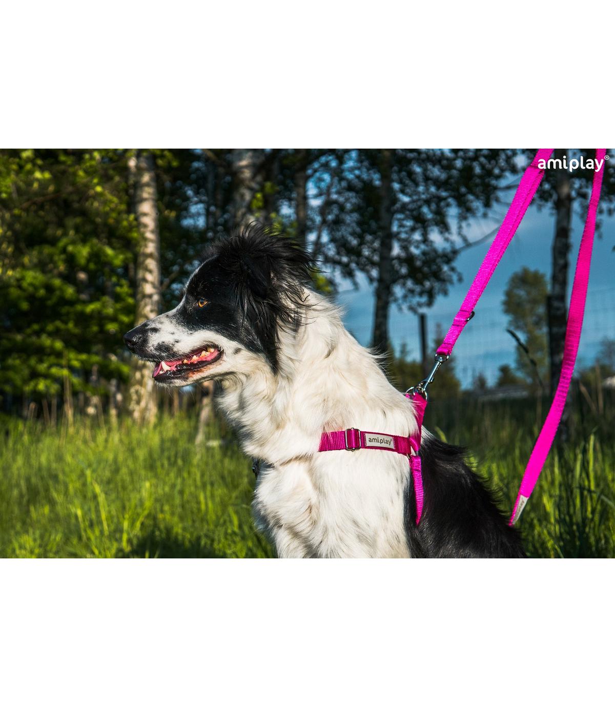 Szelki regulowane Easy Go Samba M