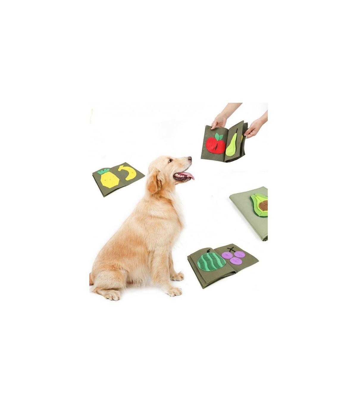 Książka - zabawka węchowa