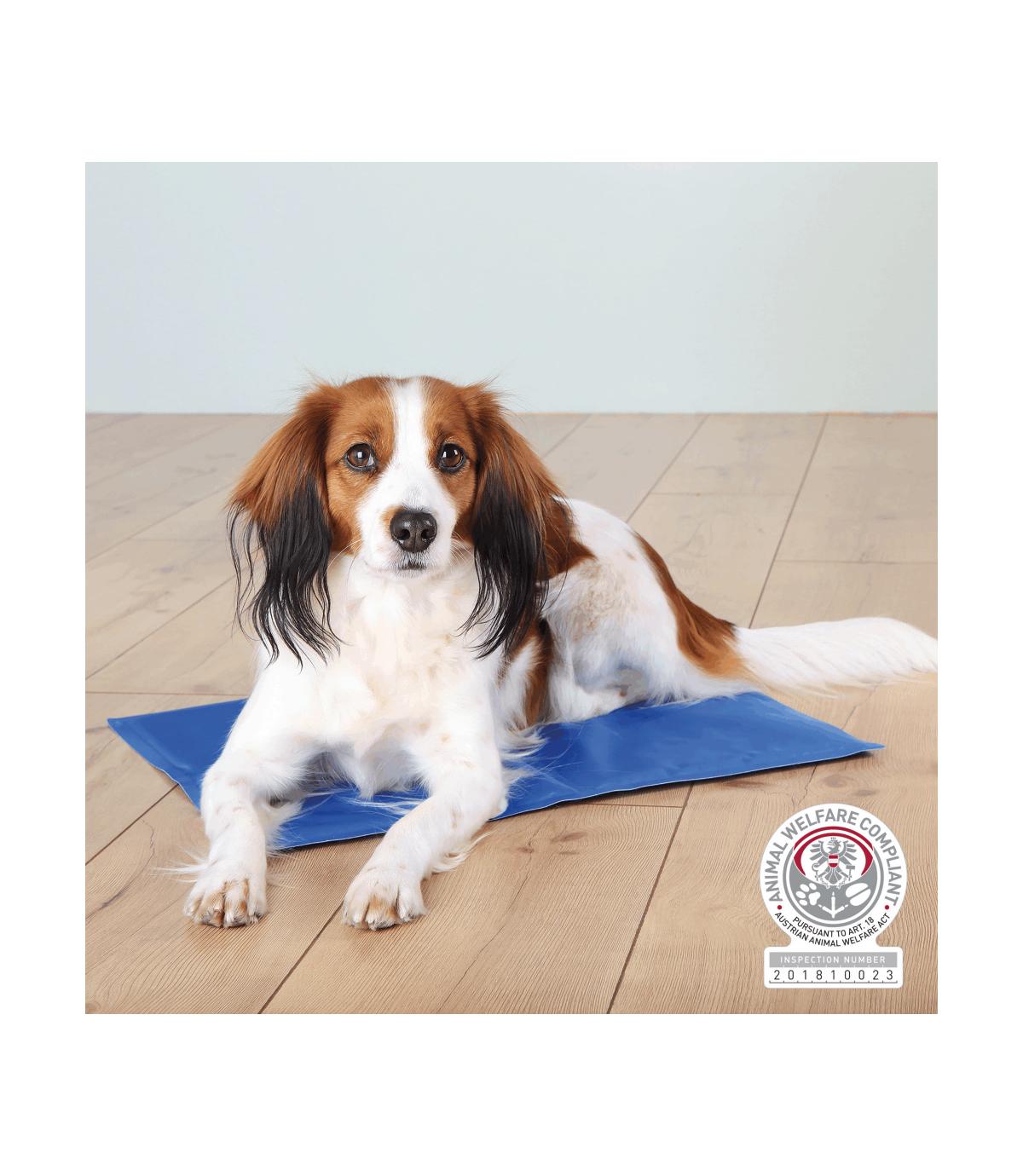 Mata chłodząca - 40 × 30 cm