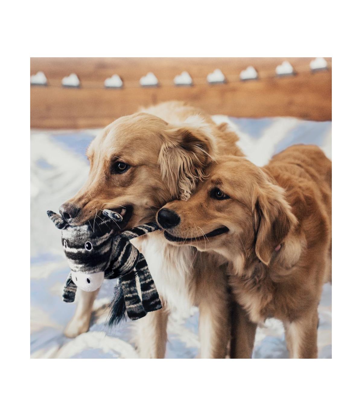 Yarnimals Zebra S/M Kong