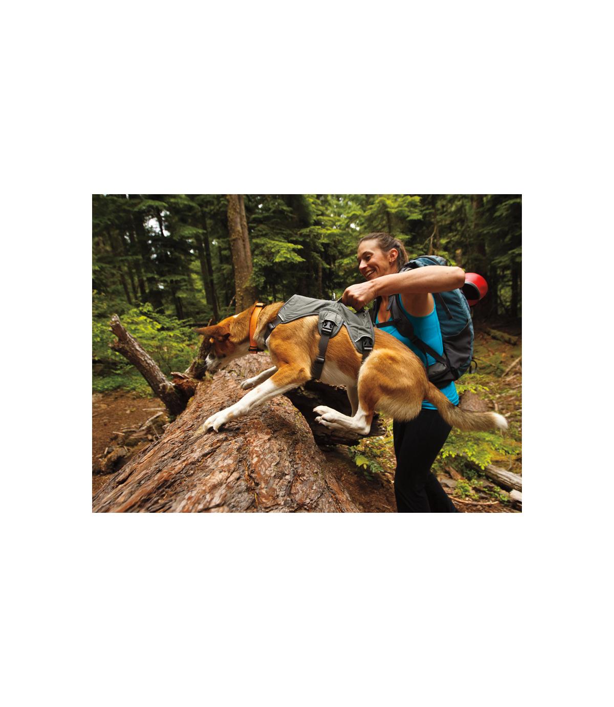 Szelki Ruffwear Web Master - M