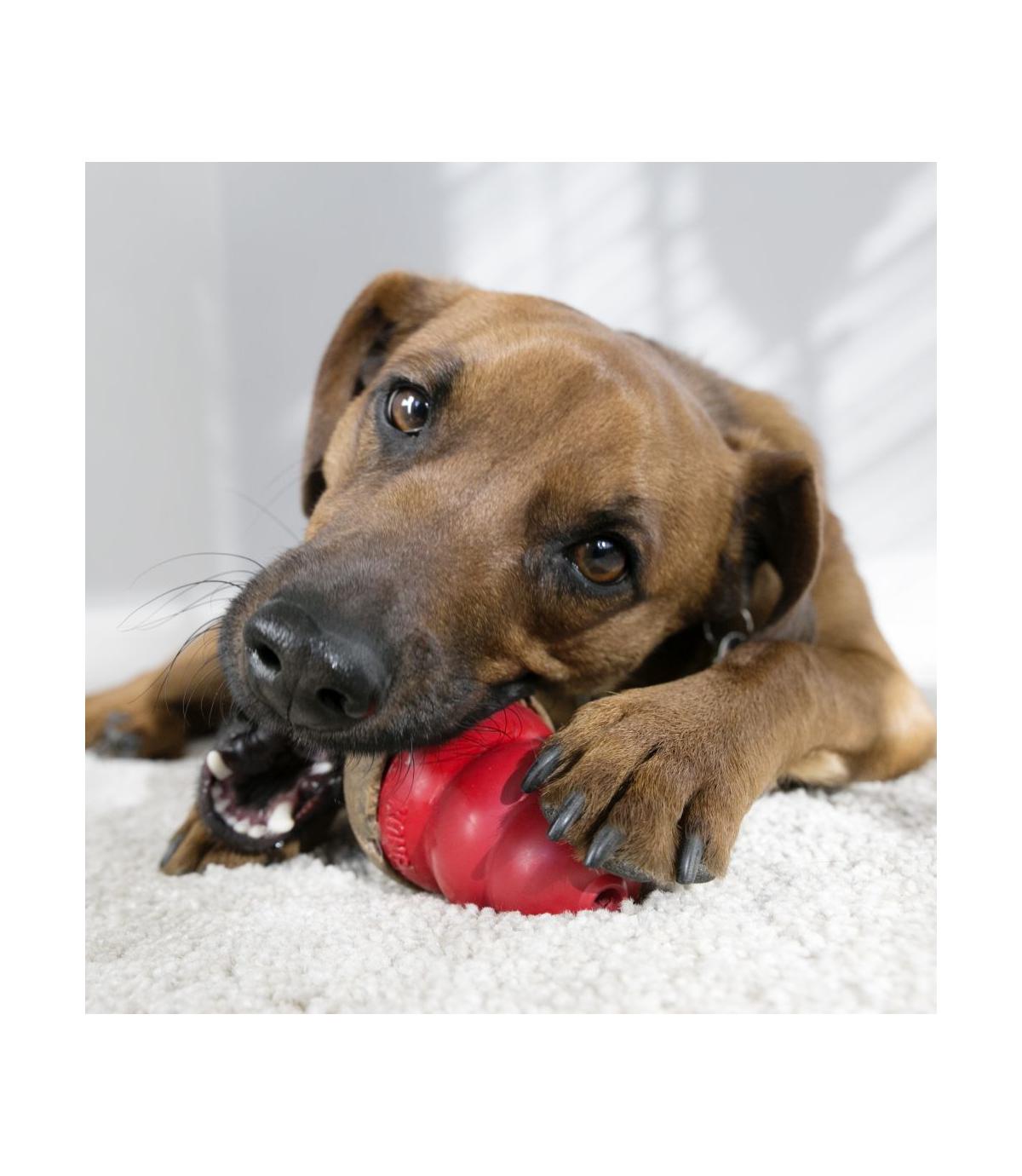 Kong Marathon M Peanut Butter