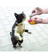 Kong Refillables Catnip Tubes 3x9g