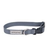 Obroża regulowana Samba M