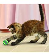 Tennis Balls with Bells 3 szt Kong Cat