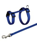 Szelki i smycz dla świnek morskich