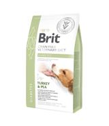Brit Veterinary Diets Dog GF Diabetes Turkey & Pea 2kg