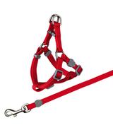 Komplet dla kota - 26-37cm/10mm