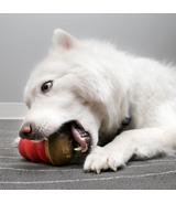 Kong Marathon L Peanut Butter