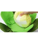 Kapusta - zabawka węchowa