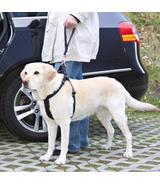 Smycz z taśmy - 27 cm / 45 mm