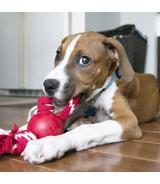 Ball with Rope S Kong