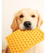 Mata Plaster miodu L