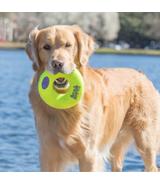 Airdog Squeaker Donut M Kong