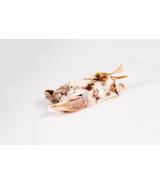 Ucho królicze z futrem 20 szt.