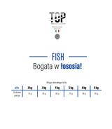 Top Premium z Łososiem 20kg