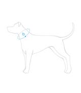 Obroża regulowana Samba XL