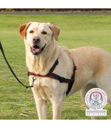 Szelki treningowe Lead'n'Walk Soft S-M