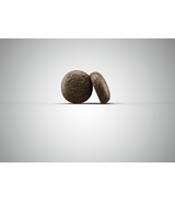 Josera Festival 12,5kg