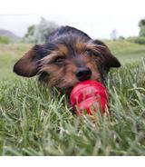 Easy Treat Liver 226g Kong