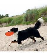 Frisbee "Dog Disc" - 18cm