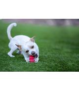 Snacks Liver S 200g Kong