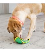 Ballistic Hide ’N Treat L Kong